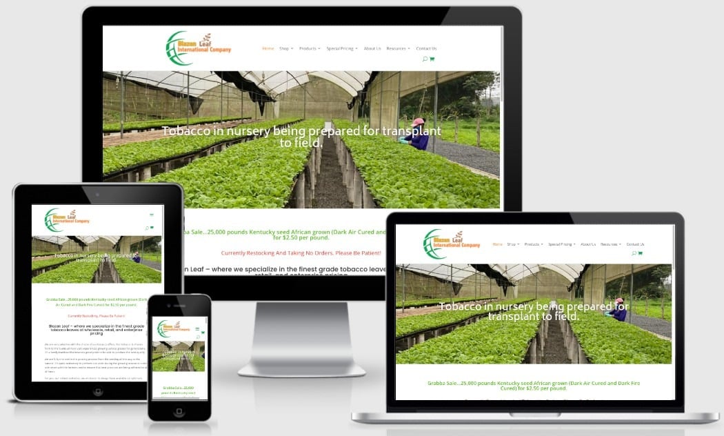 Blazen Leaf - ecommerce website built by New York Web Developer