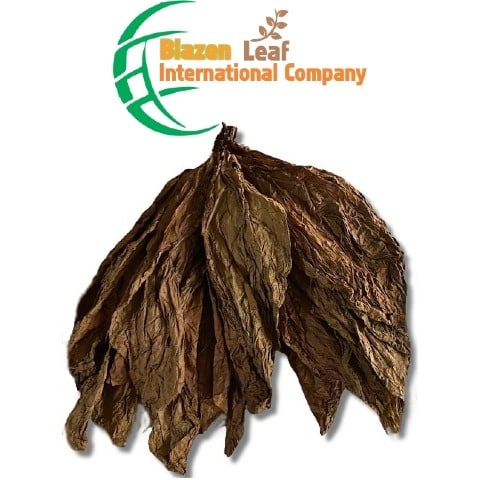 Blazen Leaf International Company