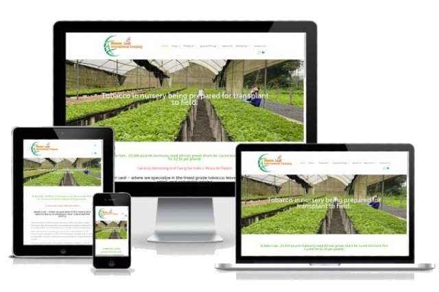responsive website by NYC web design